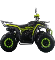 Квадроцикл FREELANDER PRO200 XTS C от мотосалона Мото-Тайм